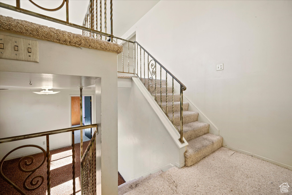 Stairway featuring carpet floors and baseboards