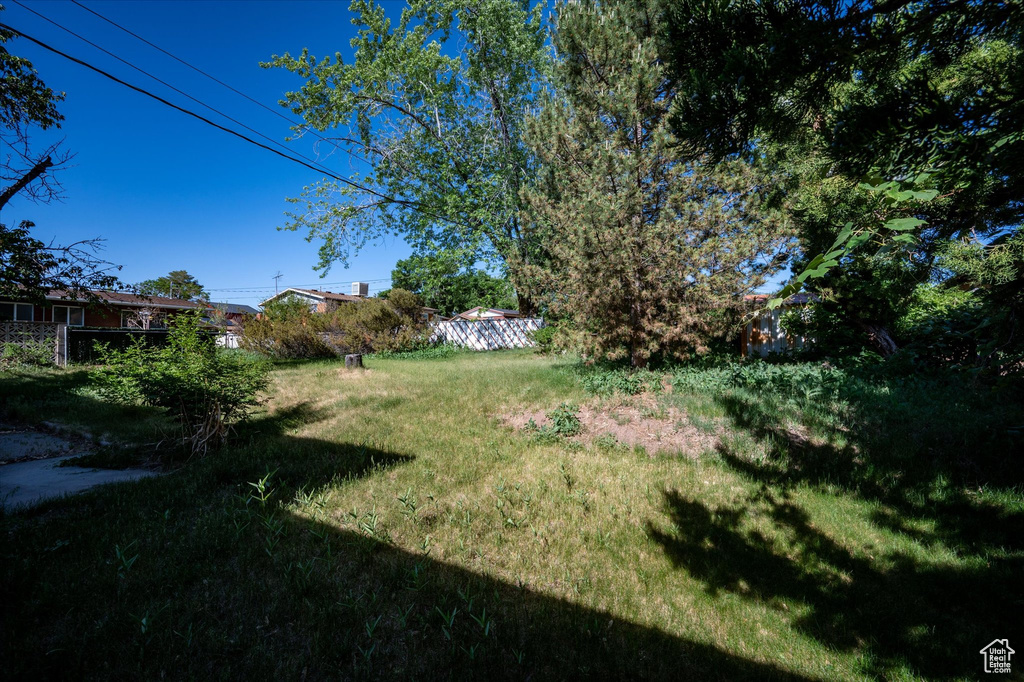 View of yard