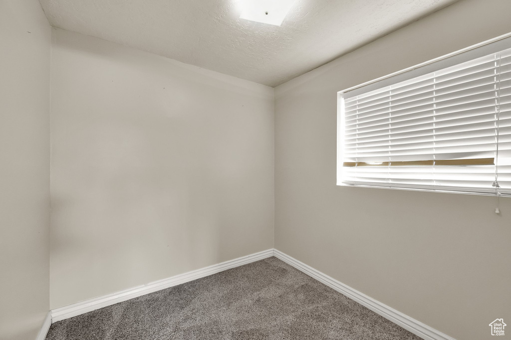 Unfurnished room with carpet, baseboards, and a textured ceiling