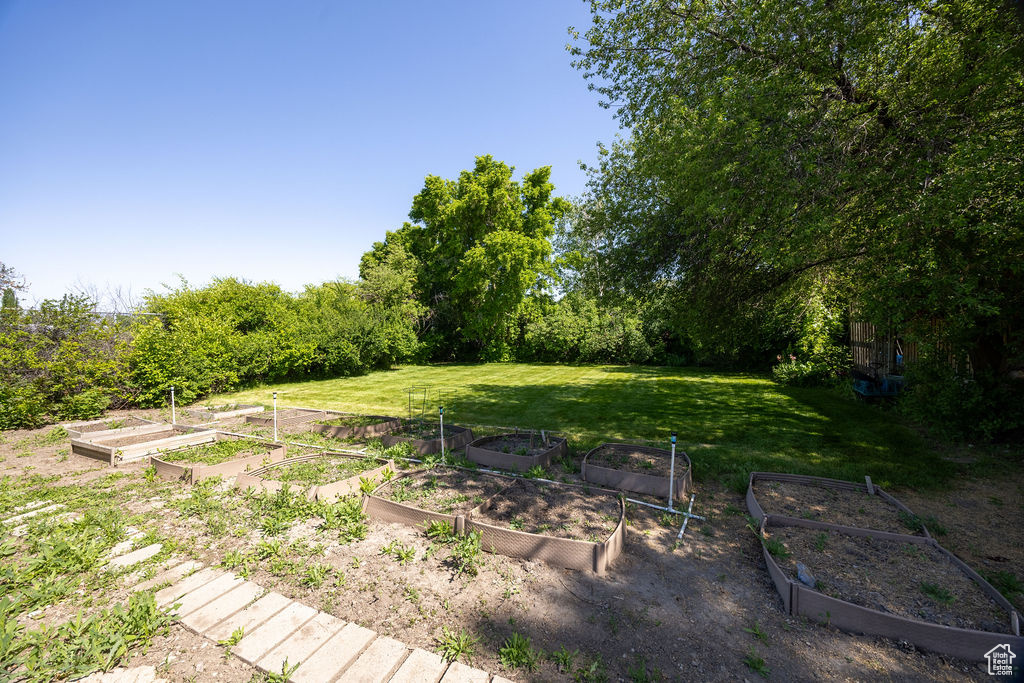 View of grassy yard with a garden
