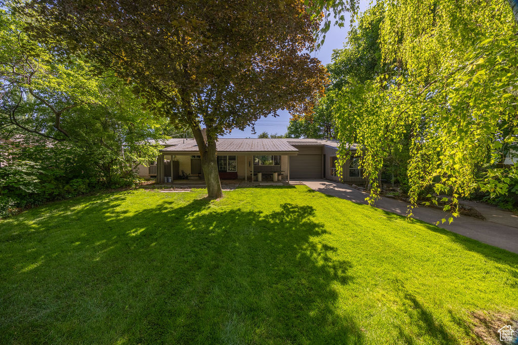 View of green lawn with driveway