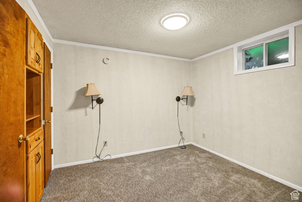Spare room featuring carpet floors, a textured ceiling, ornamental molding, and baseboards