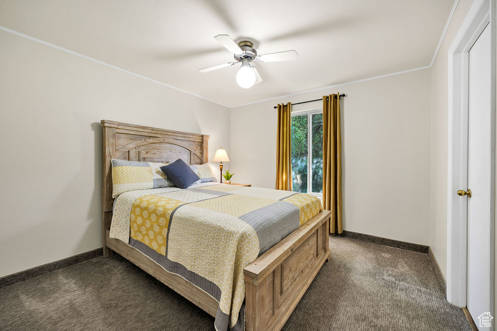 Bedroom featuring dark carpet, baseboards, a ceiling fan, and ornamental molding