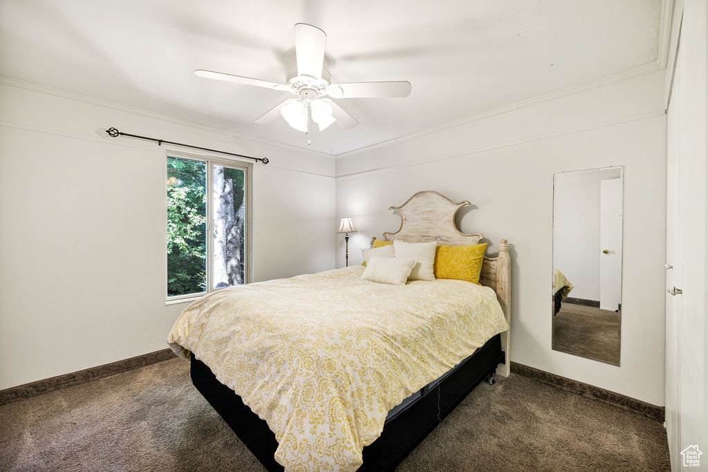 Bedroom featuring dark carpet, baseboards, crown molding, and a ceiling fan