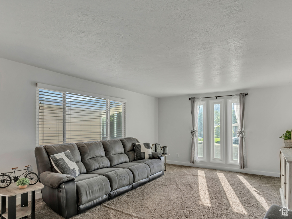 Living room with healthy amount of natural light, baseboards, light colored carpet, and a textured ceiling