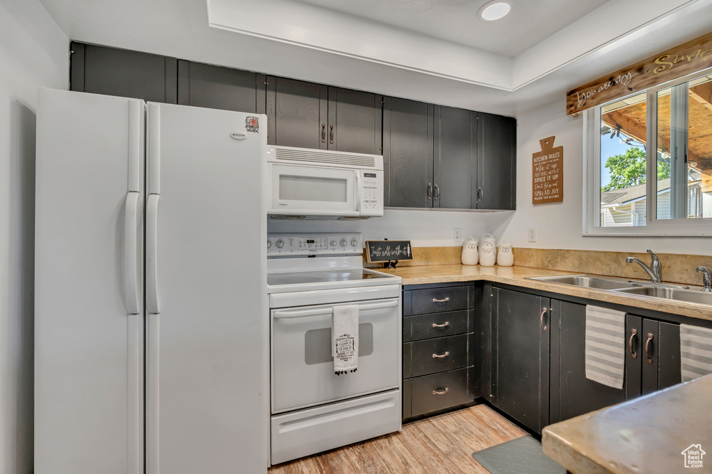Kitchen featuring white appliances, a sink, light wood-style floors, light countertops, and dark cabinetry