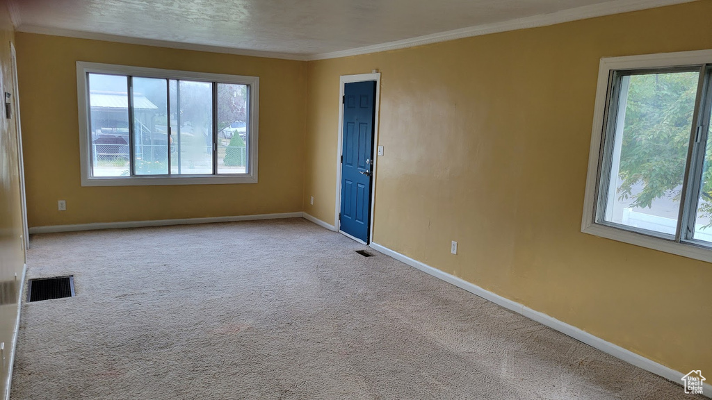 Carpeted spare room featuring plenty of natural light, baseboards, and crown molding
