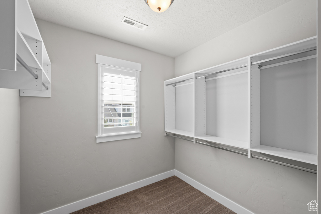 Spacious closet featuring dark colored carpet