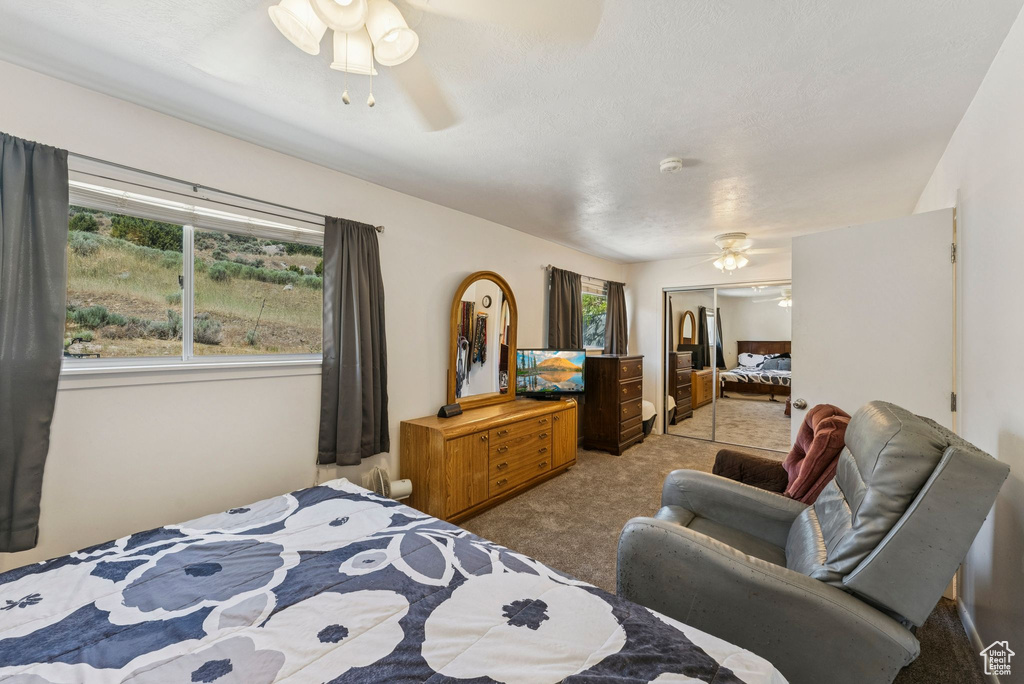 Carpeted bedroom with a closet and ceiling fan