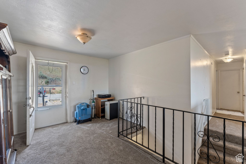 Hall featuring carpet flooring and an upstairs landing