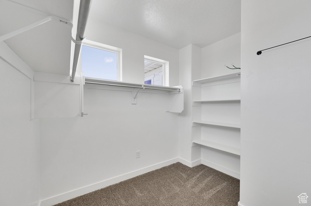 Walk in closet featuring dark colored carpet