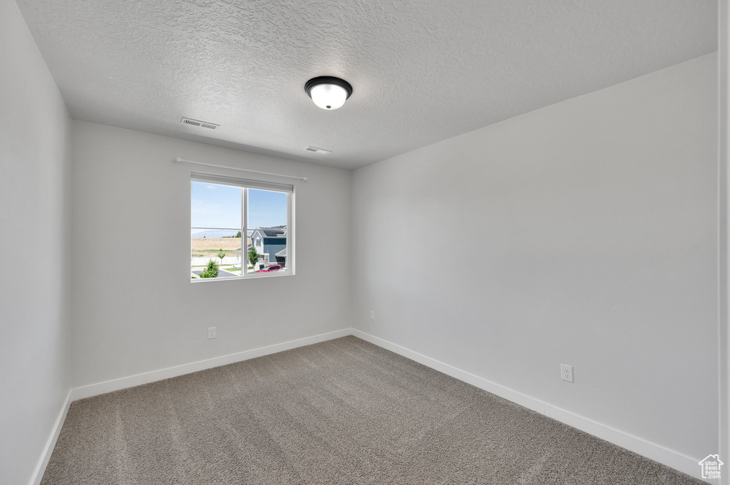 Empty room featuring a textured ceiling, baseboards, and carpet floors