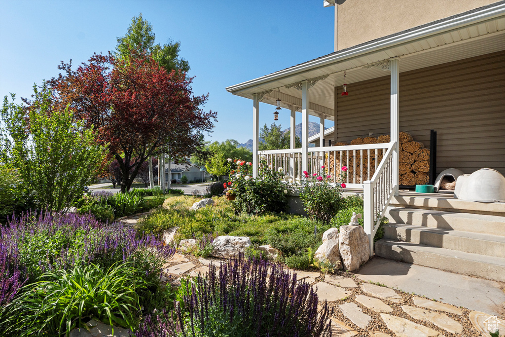 View of yard featuring covered porch