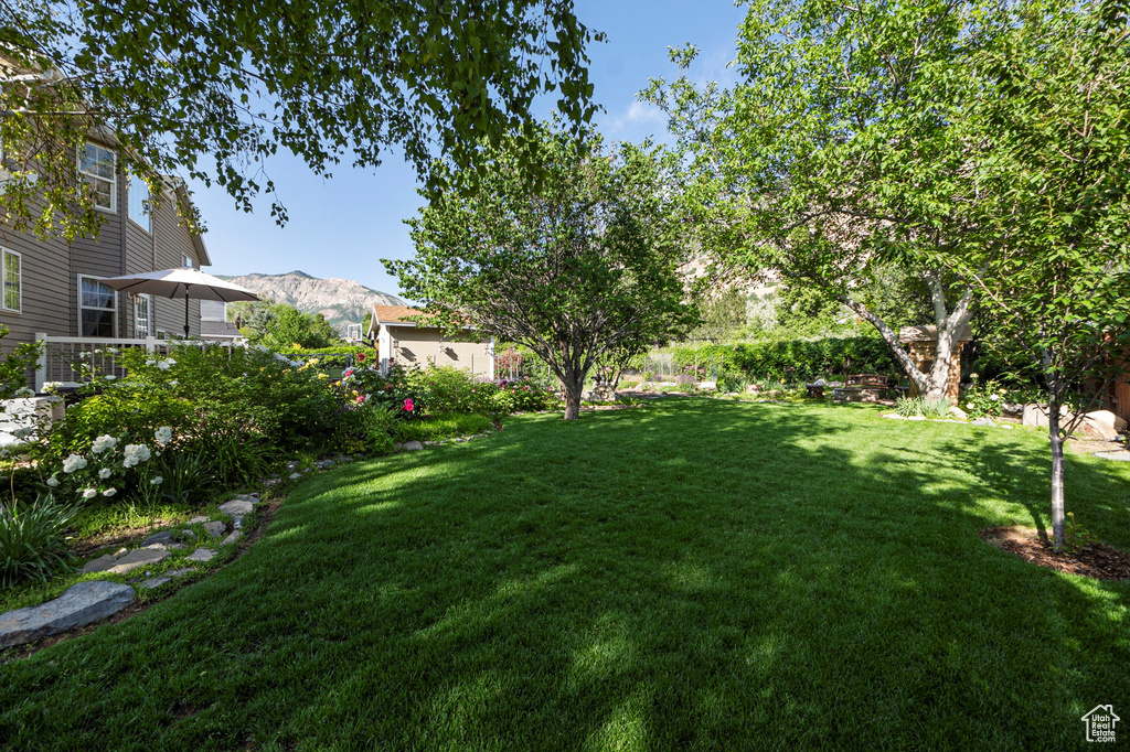 View of green lawn with a mountain view