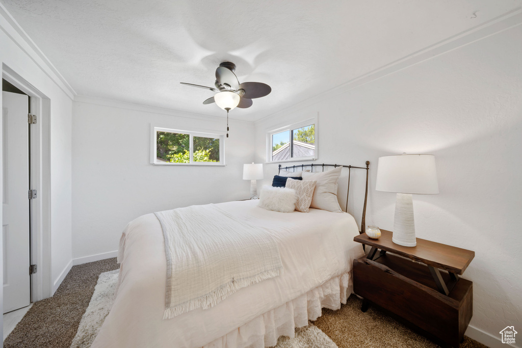 Bedroom with ornamental molding, carpet, a ceiling fan, and baseboards