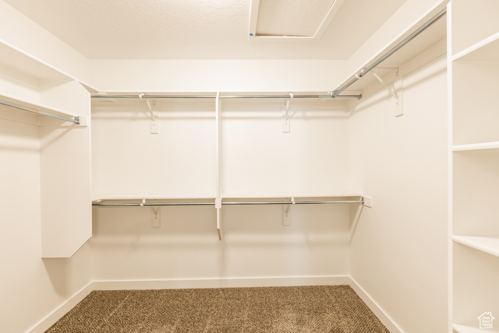 Walk in closet with carpet flooring