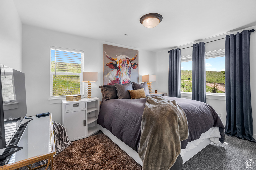 Bedroom with multiple windows and dark carpet