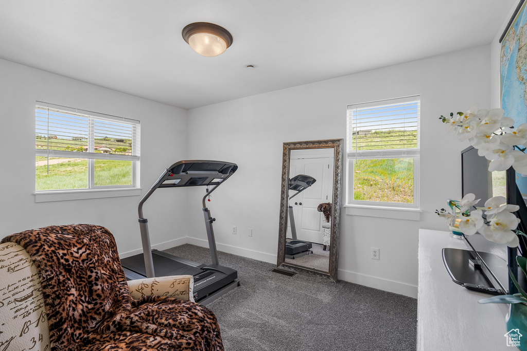 Exercise room with healthy amount of natural light, baseboards, and carpet floors