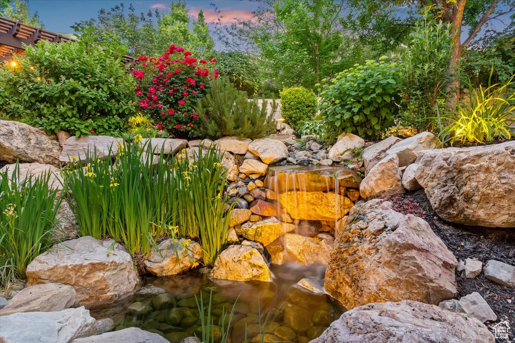 View of yard with a small pond