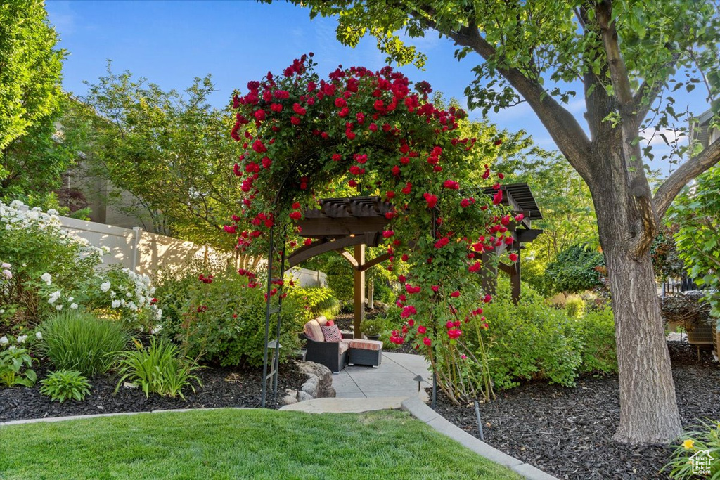 View of yard with a patio