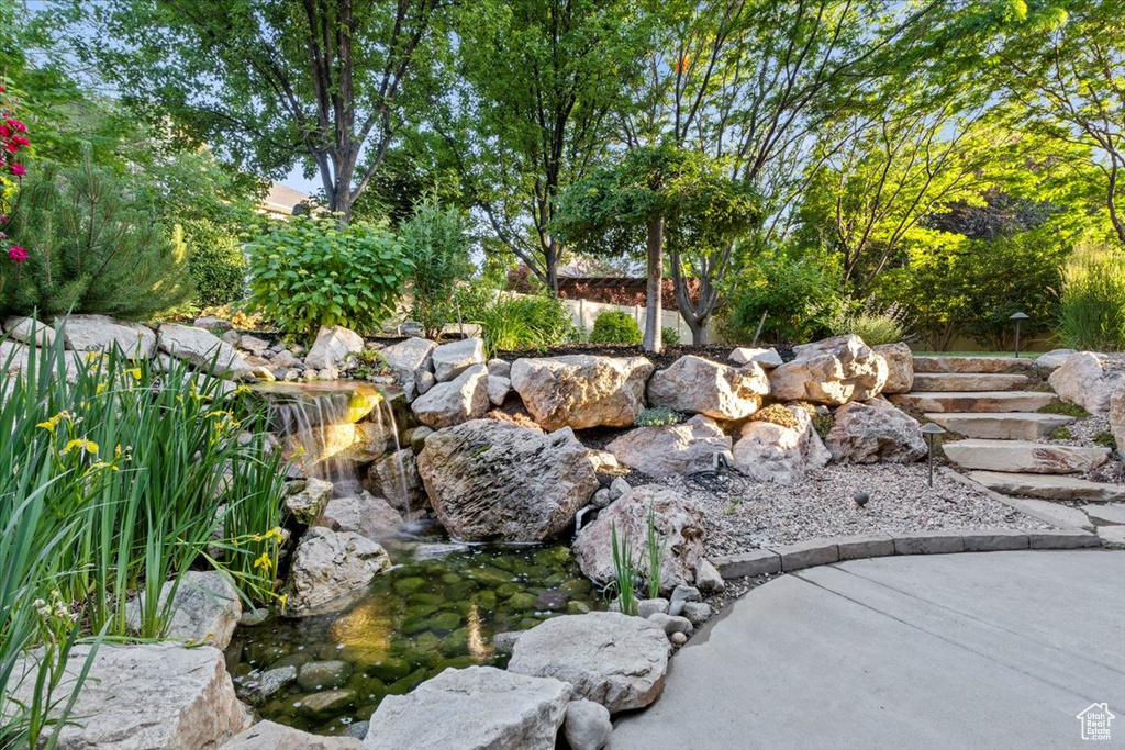 View of yard featuring a garden pond
