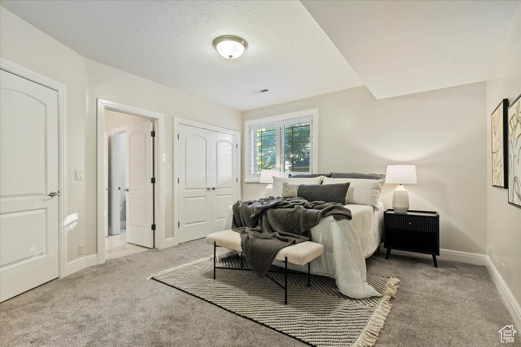 Carpeted bedroom with baseboards and a closet