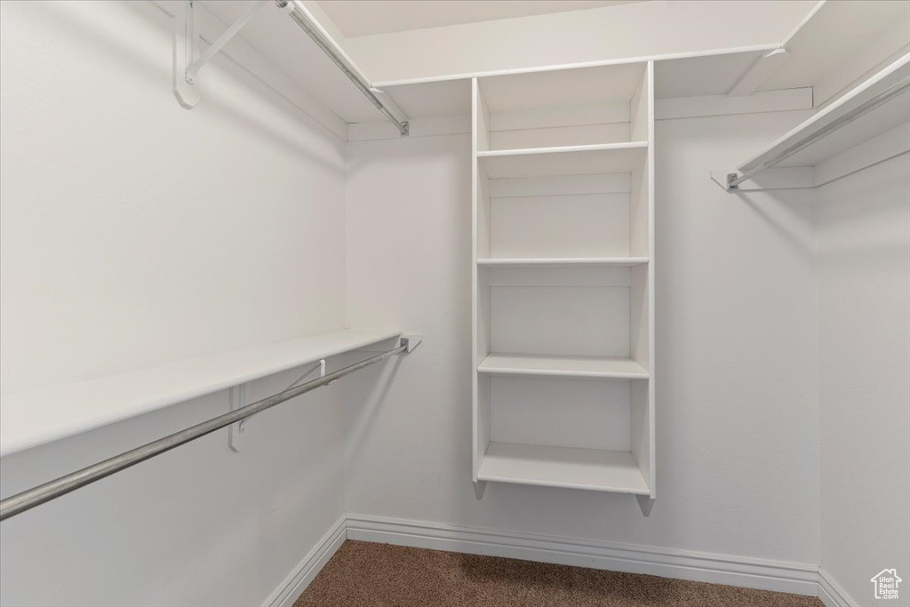 Walk in closet featuring dark carpet