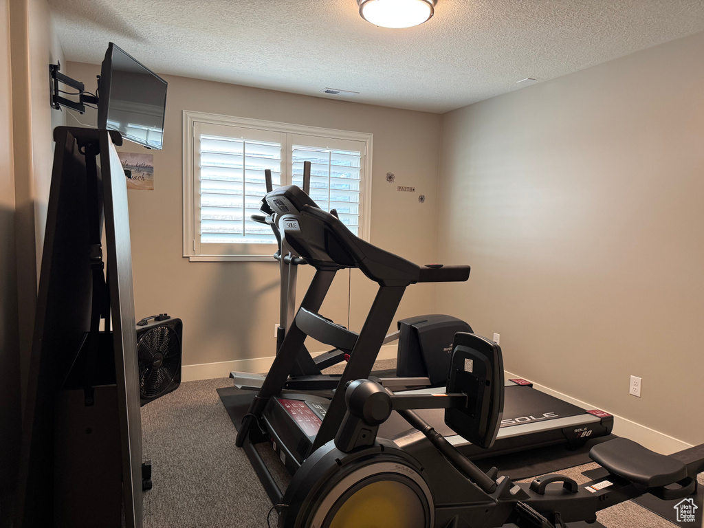 Workout area featuring a textured ceiling, carpet flooring, and baseboards