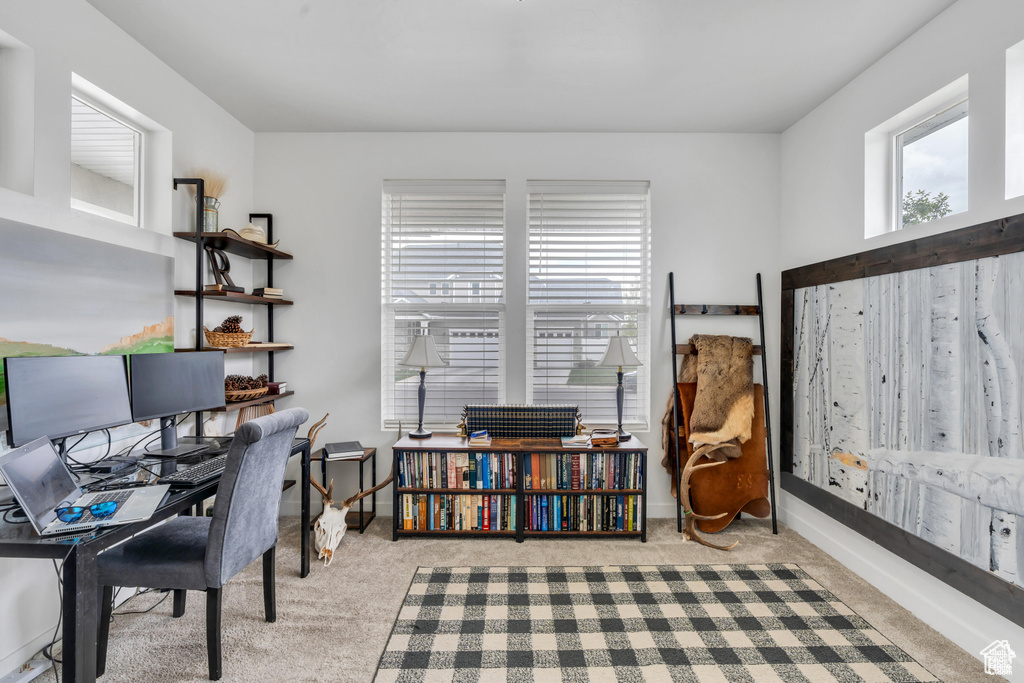 Office featuring carpet and baseboards
