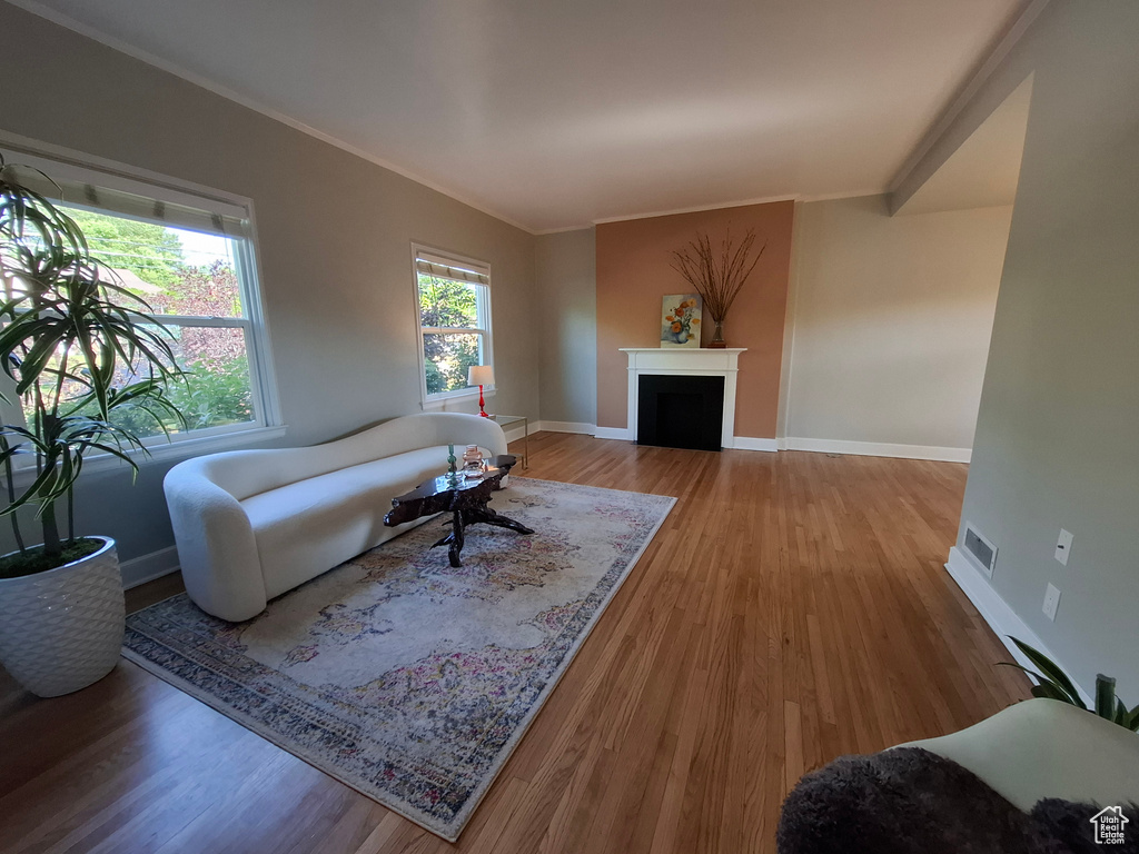Living area with wood finished floors, crown molding, and a fireplace