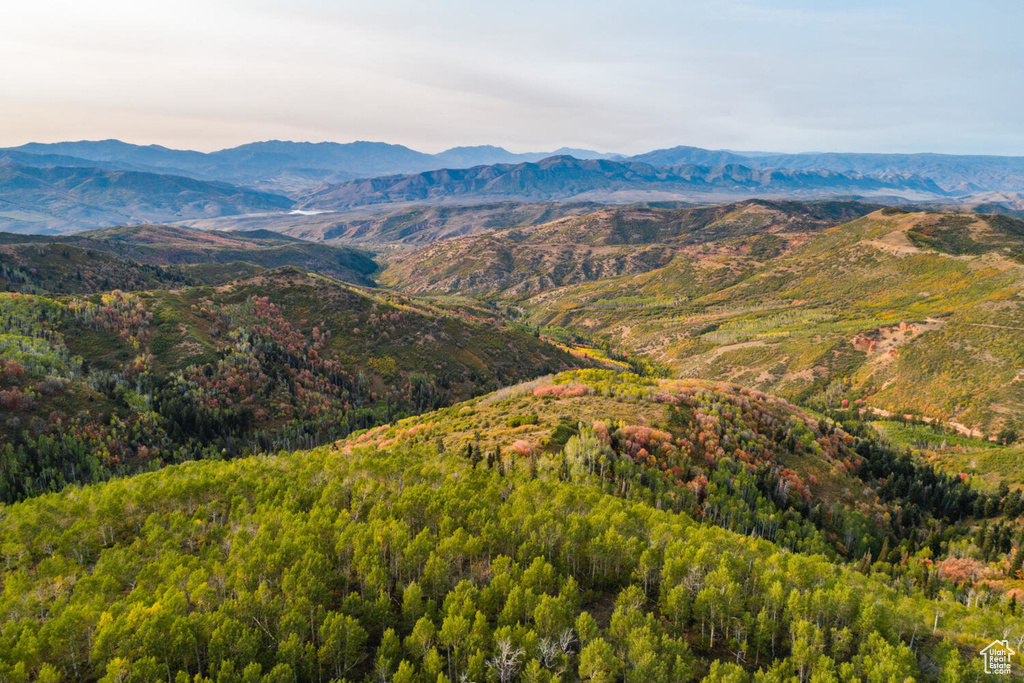 View of mountain background featuring a heavily wooded area