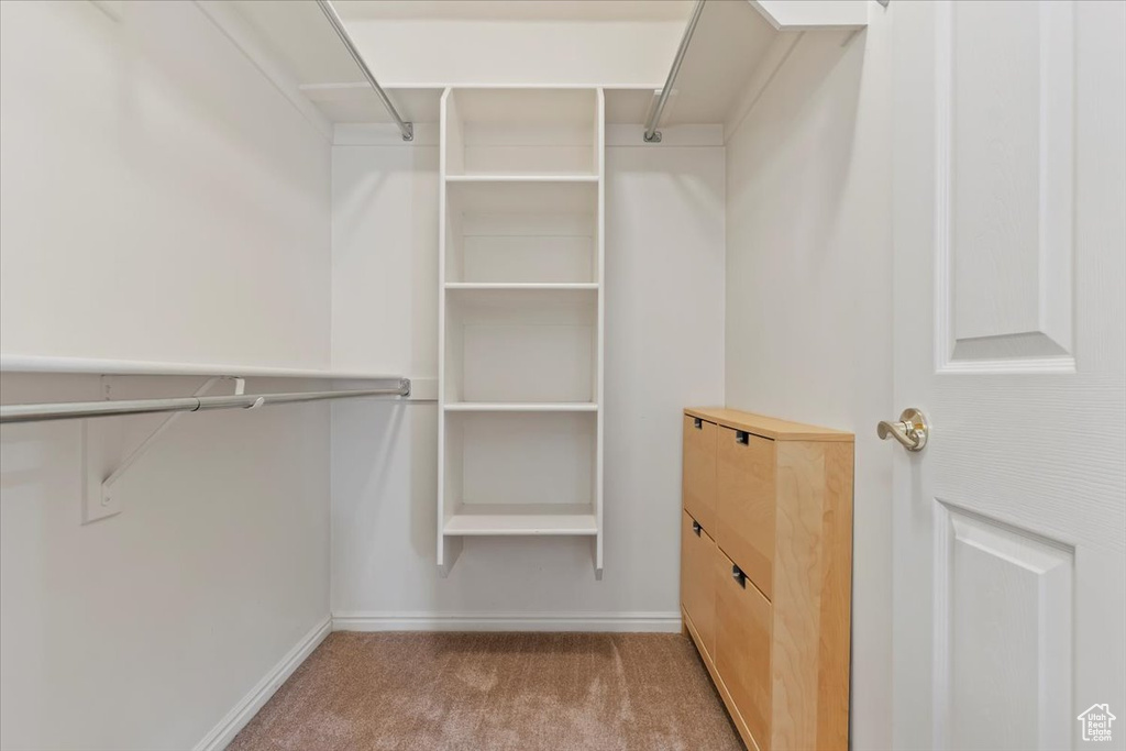 Spacious closet featuring carpet flooring