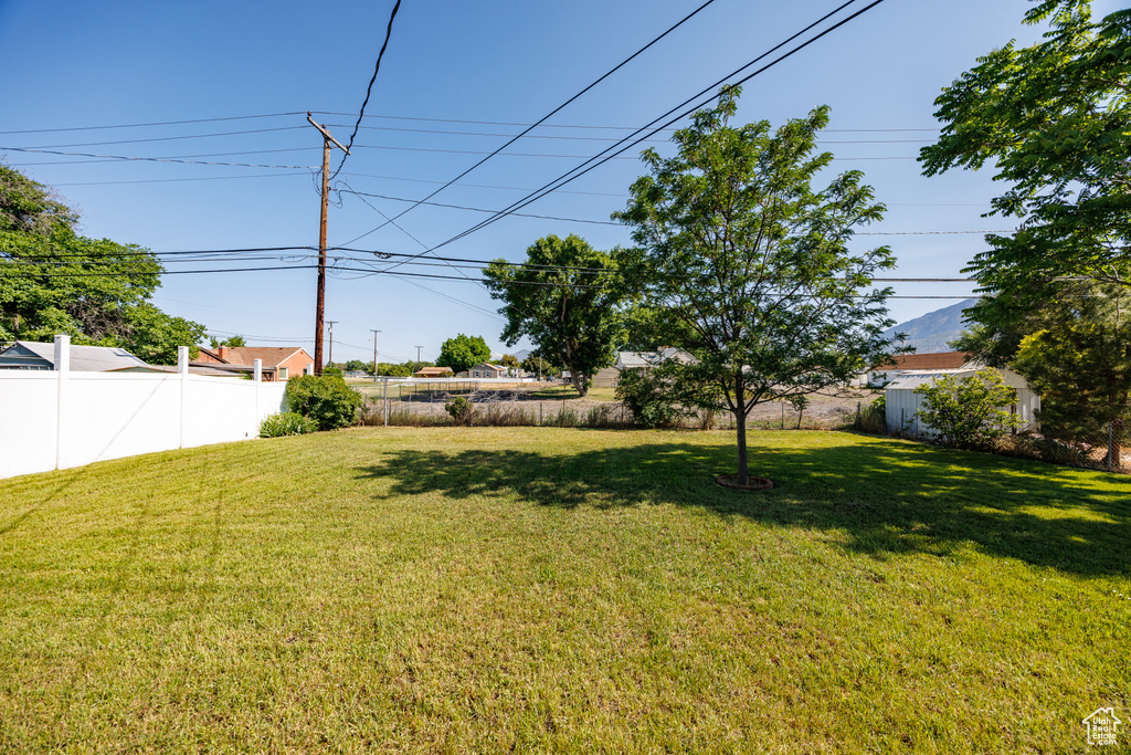 View of yard
