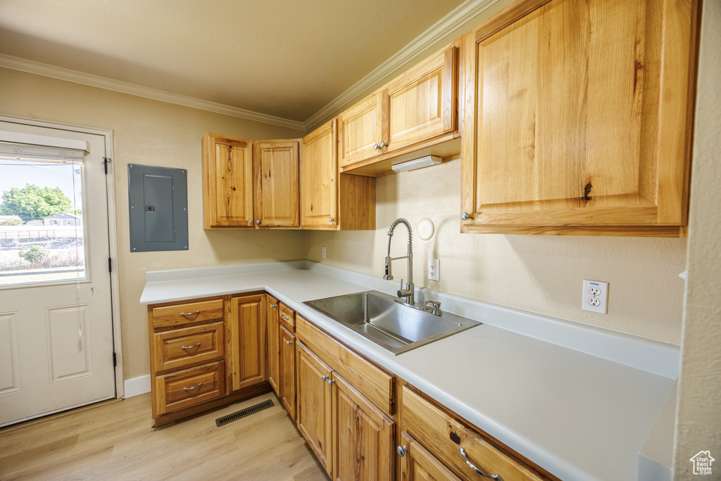 Kitchen featuring electric panel, a sink, ornamental molding, light wood finished floors, and light countertops