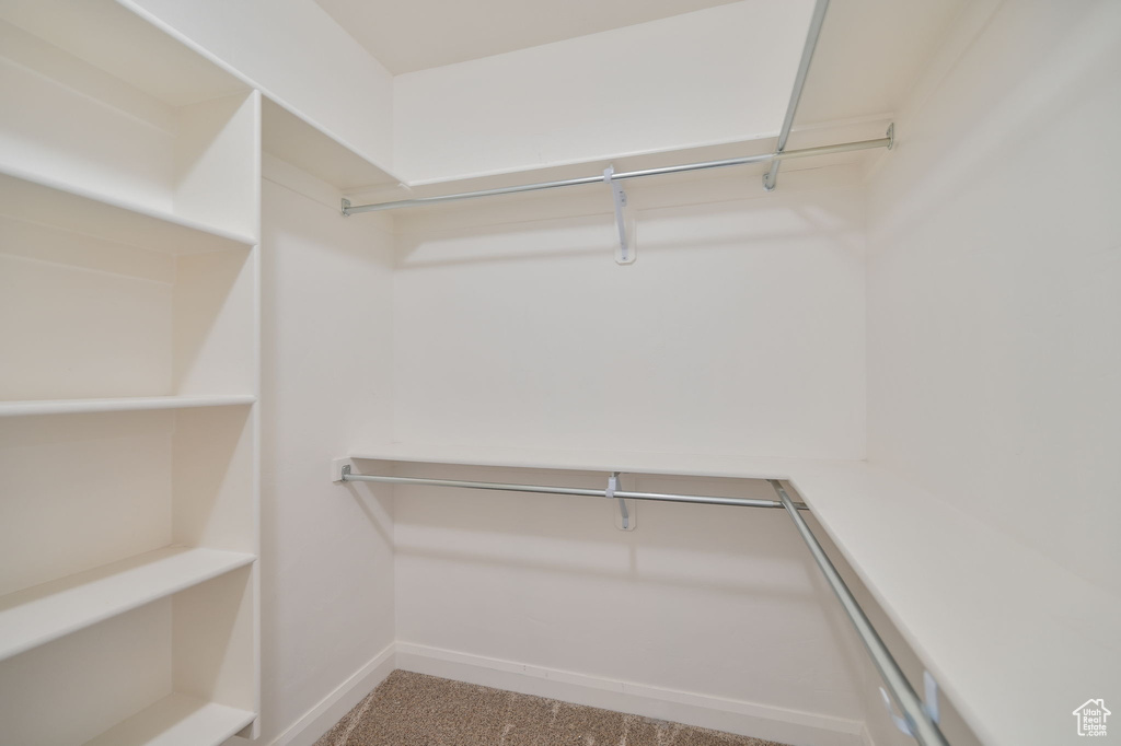 Walk in closet with carpet floors