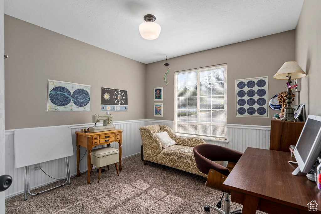 Carpeted office featuring wainscoting