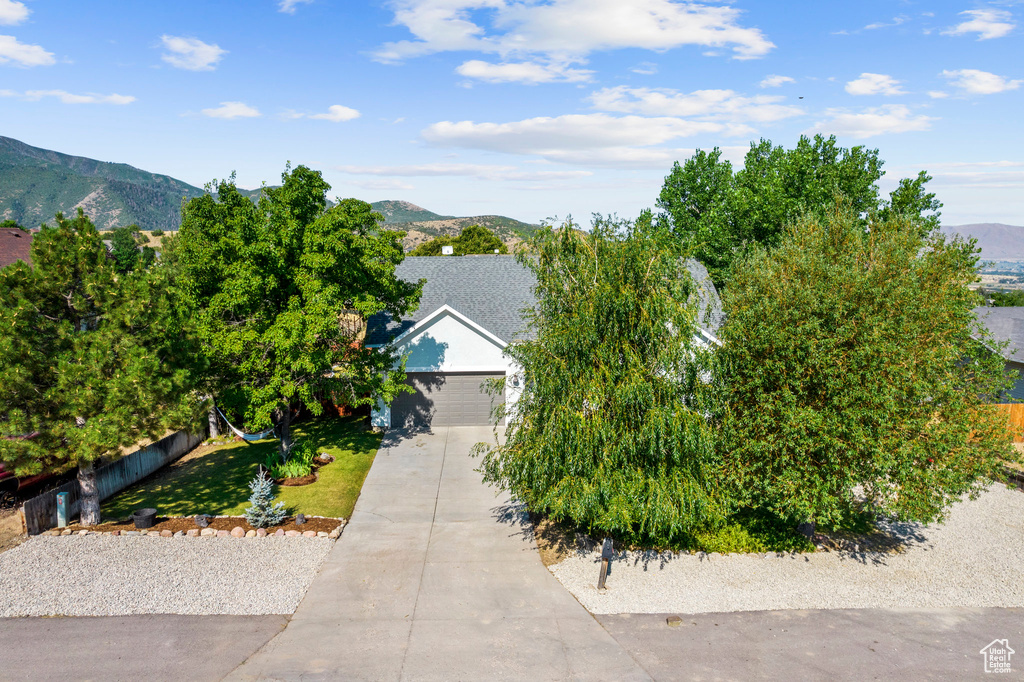 View of property hidden behind natural elements featuring a mountain view, driveway, and an attached garage
