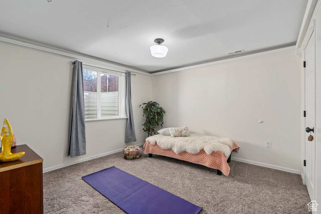 Carpeted bedroom featuring baseboards and ornamental molding