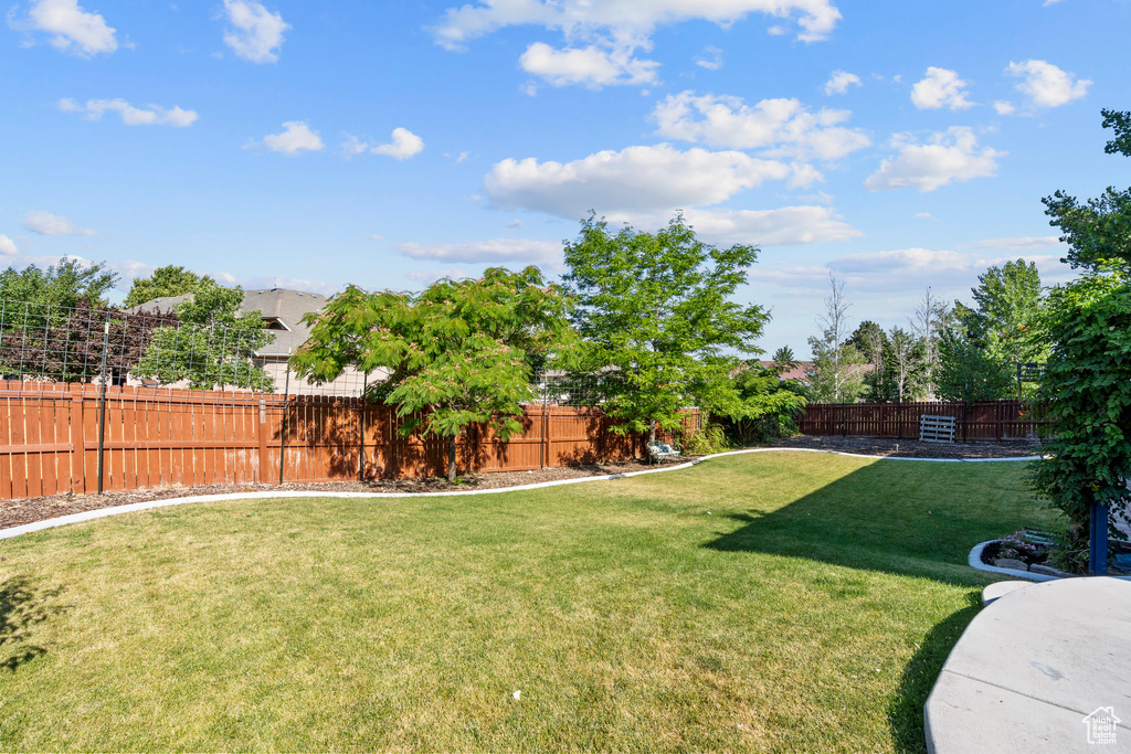 View of yard