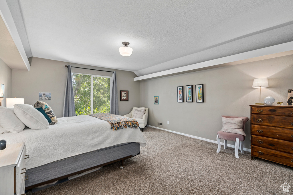 Bedroom with lofted ceiling, carpet, baseboards, and a textured ceiling