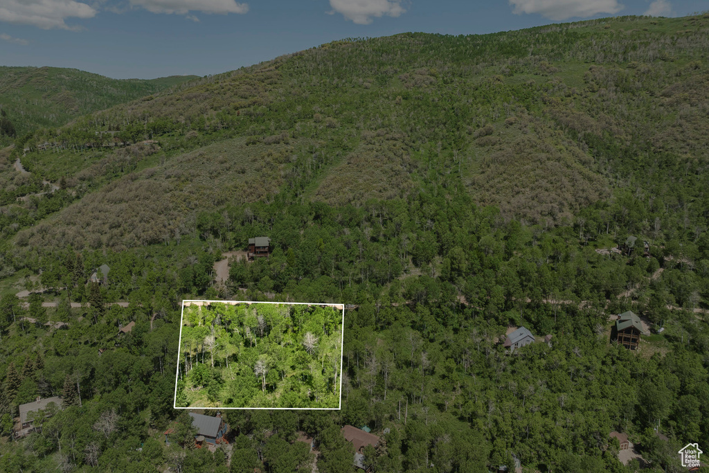 Aerial view of property and surrounding area featuring a forest, property parcel outlined, and a mountain backdrop
