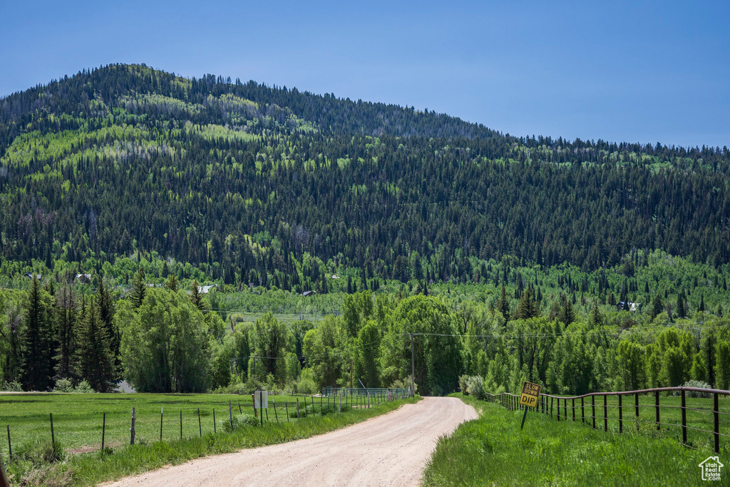 View of mountain background featuring a heavily wooded area