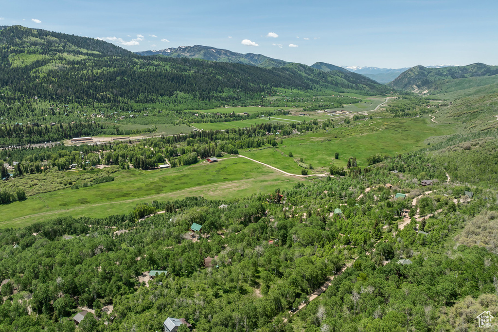 View of mountain backdrop with a forest