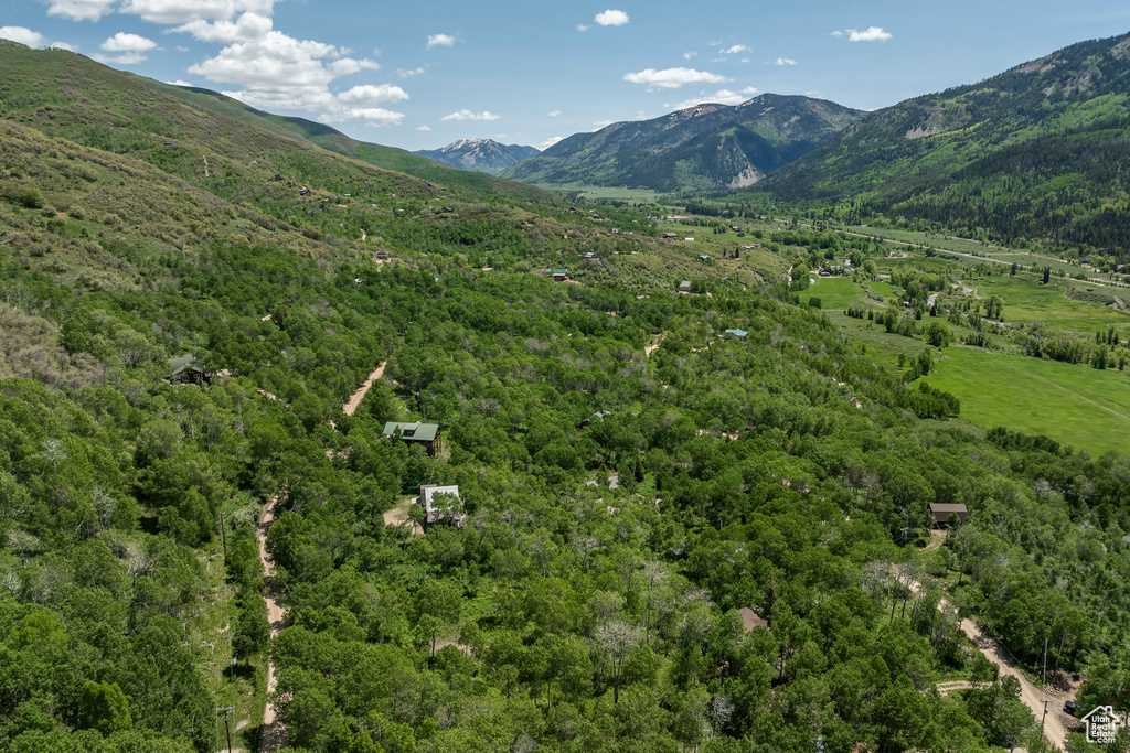 Mountain view featuring a forest