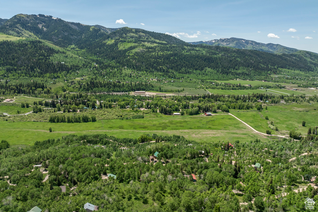 View of mountain background featuring a forest