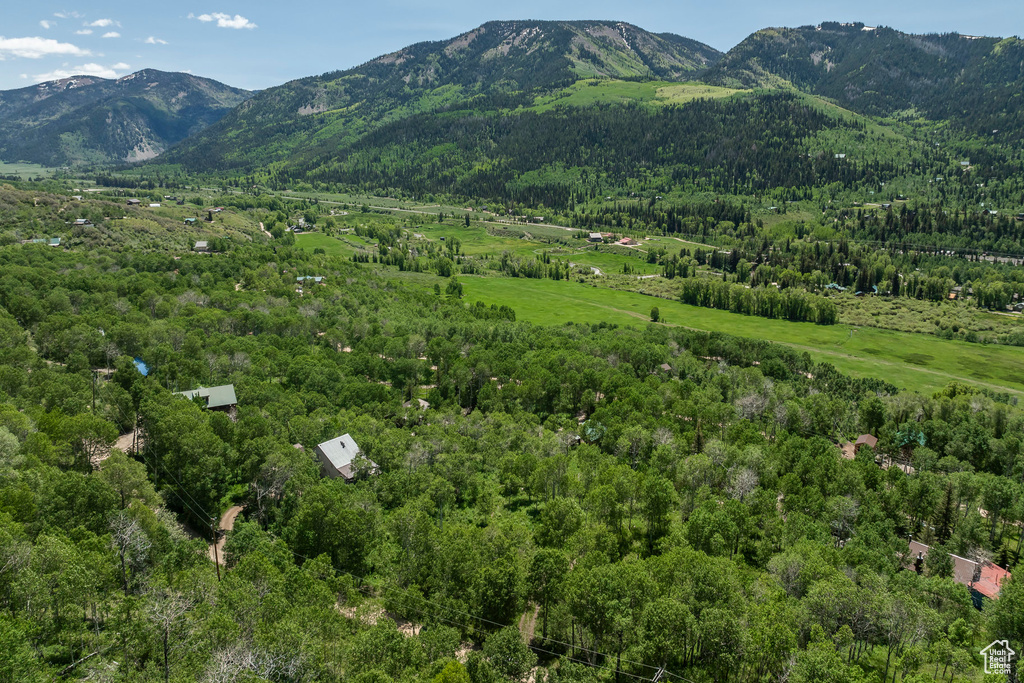 View of mountain background featuring a forest