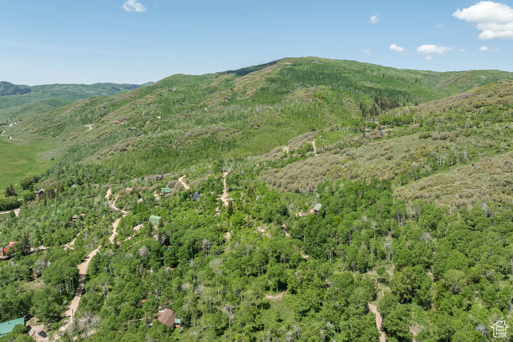 View of mountain backdrop featuring a forest