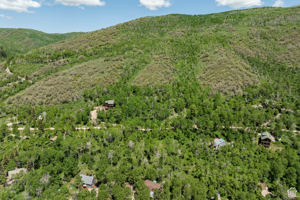 View of mountain backdrop featuring a heavily wooded area