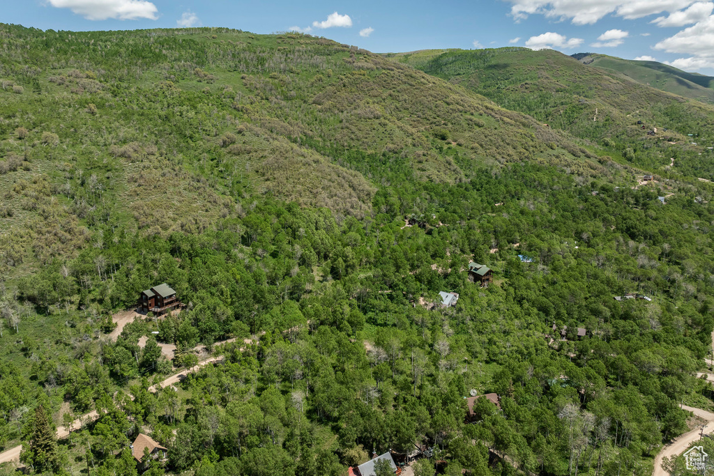 View of mountain backdrop featuring a heavily wooded area