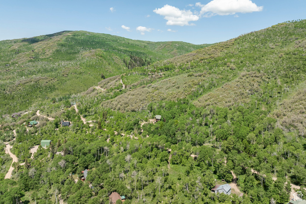 View of mountain background with a heavily wooded area
